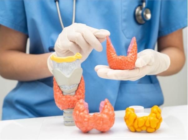 Mladá žena si prohlíží padající vlasy v ruce – ilustrační foto k článku o návycích, které způsobují padání vlasů